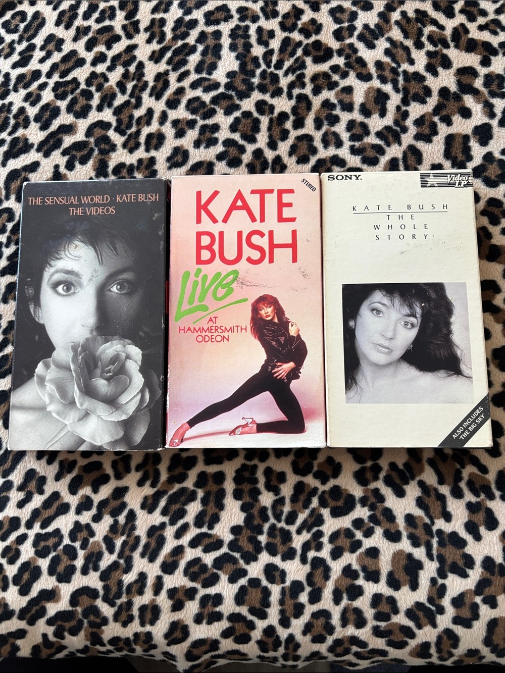 KATE BUSH 🎶 VHS Tapes Live Sensual World Stranger Things Music Concert UK Sing